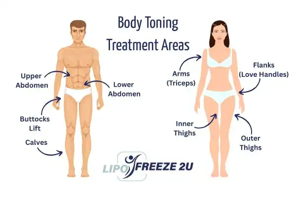 Graphic showing where you can have Body toning Treatment Lincoln on your body